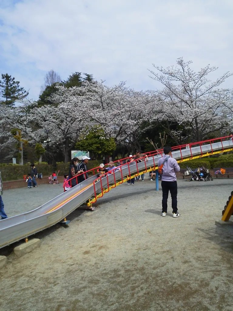🌸 마루야마 공원(마루야마 코엔) 이미지 5